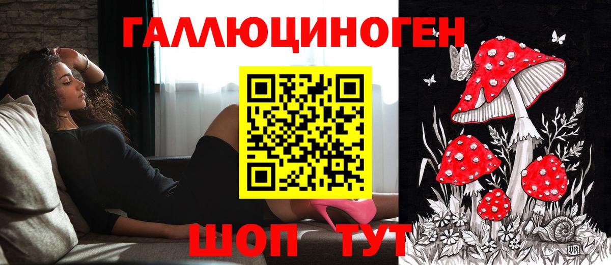 Псилоцибиновые грибы Cubensis  Вход с VPN  Великие Луки  Псилоцибиновые грибы Cubensis 